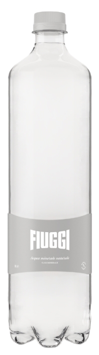 Fiuggi (Фьюджи) 1л б/г пэт