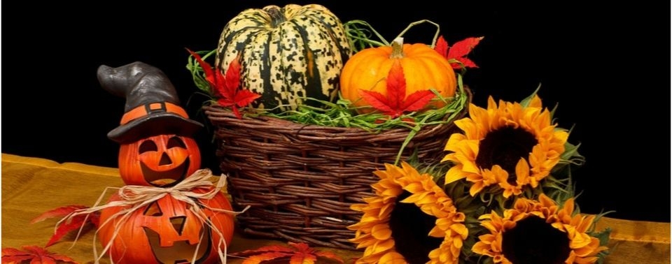 Зачем отмечать Хэллоуин?