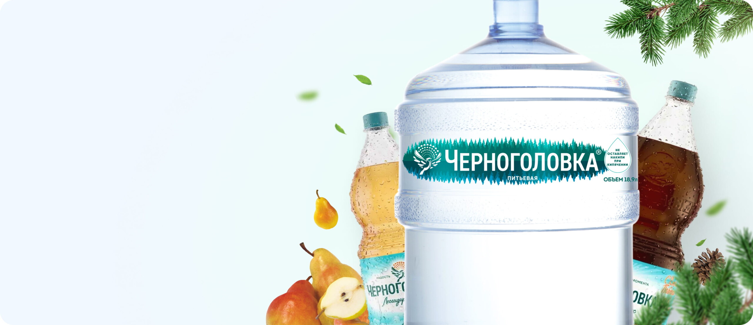 Выбирайте свою Черноголовку