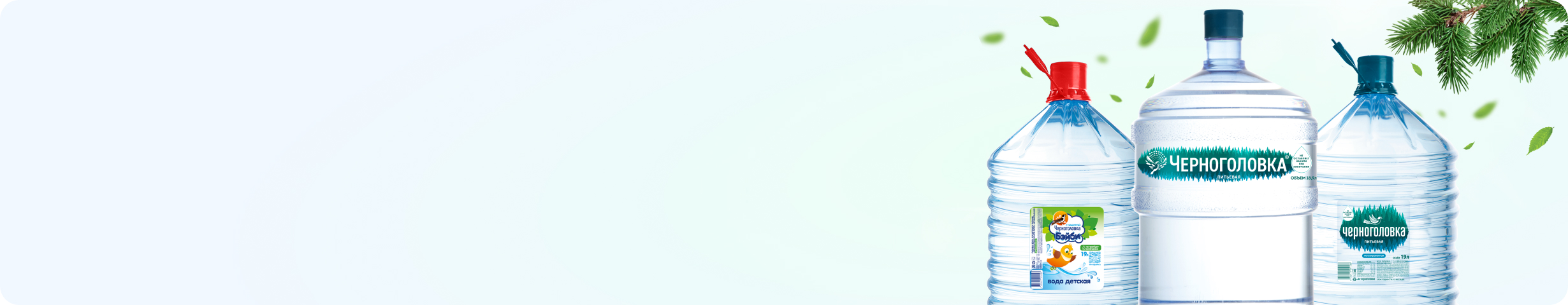 Черноголовка 19 литров